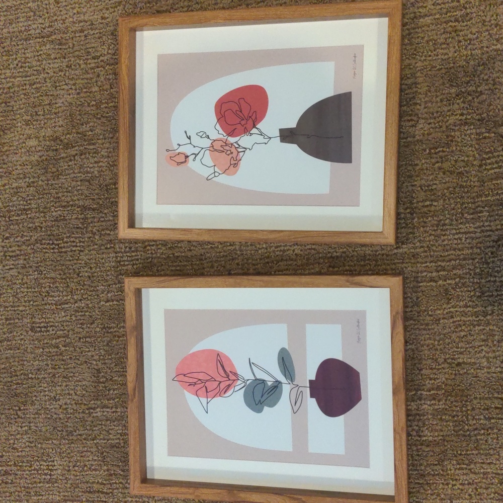 HomeGoods 11" x 15" floral prints in frames